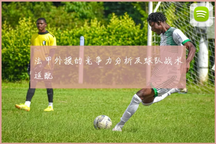 法甲外援的竞争力分析及球队战术适配