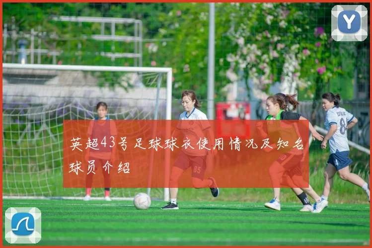 英超43号足球球衣使用情况及知名球员介绍