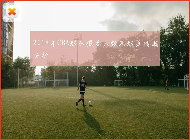 2018年CBA球队报名人数及球员构成分析