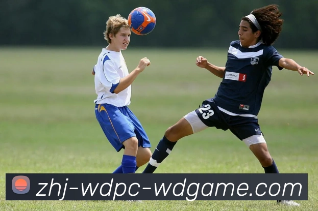 多媒体互动体验