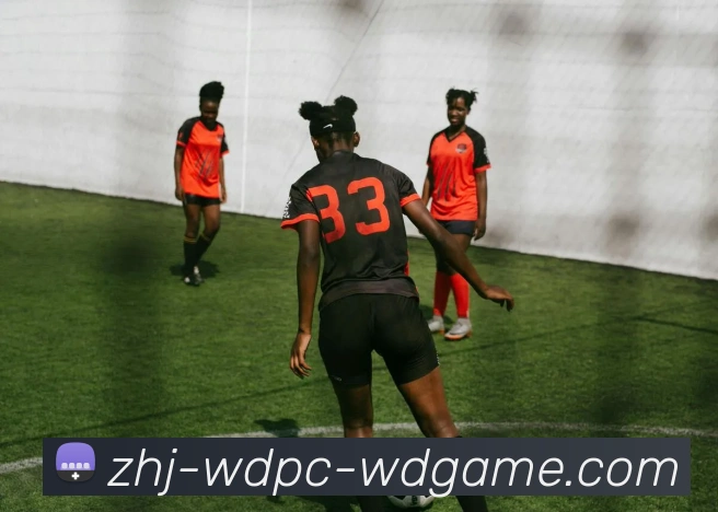 数据防护可视化